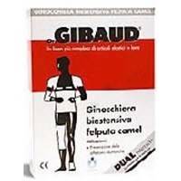 GIBAUD GINOCCH BIEST FELP CAM3