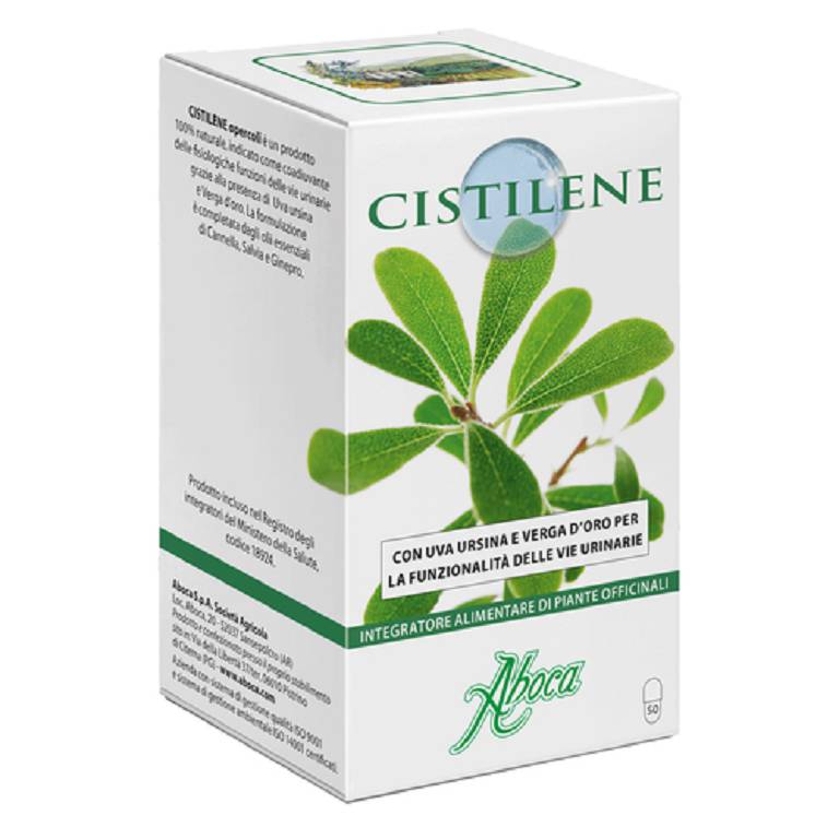 Cistilene Cistilene