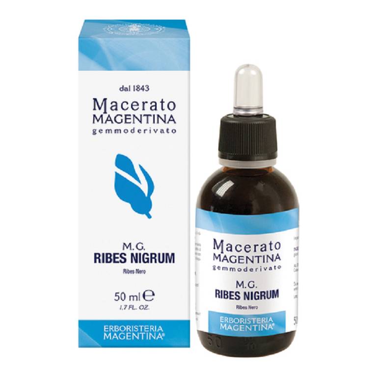 RIBES NIGRUM MACERATO MAGE50ML
