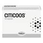 CITICOOS 24CPR