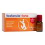 FOSFARSILE FORTE GINSENG 10FL