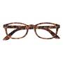 IRISTYLE PROTECTION BR DT+1,50