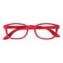 IRISTYLE PROTECTION RE DT+2,50