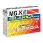 MGK VIS RIC PLUS 14BUST